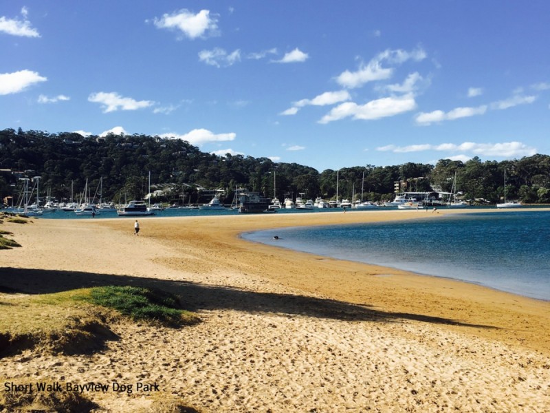 17 Loquat Valley Road, Bayview NSW 2104