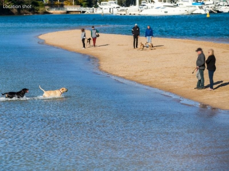 36 Beaumont Crescent, Bayview NSW 2104