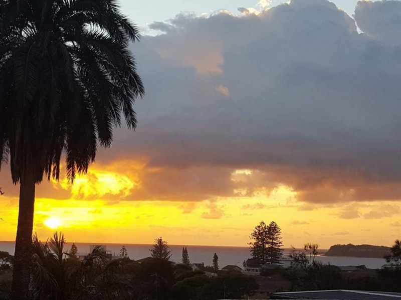 25 Clarke Street, Narrabeen NSW 2101