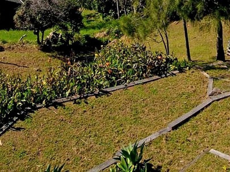 19 Karloo Parade, Newport NSW 2106