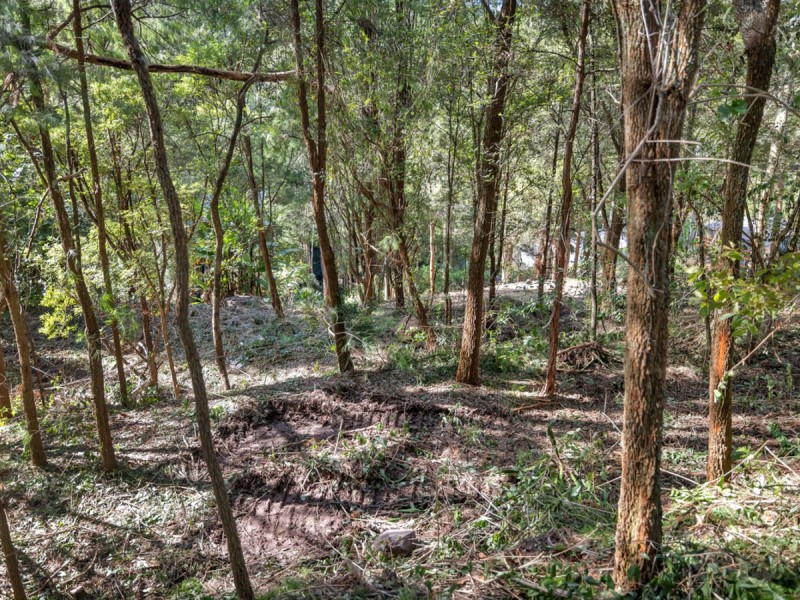 86 Cabbage Tree Road, Bayview NSW 2104