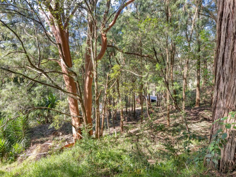 86 Cabbage Tree Road, Bayview NSW 2104