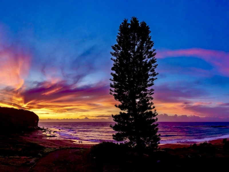 10/37 Surfview Road, Mona Vale NSW 2103