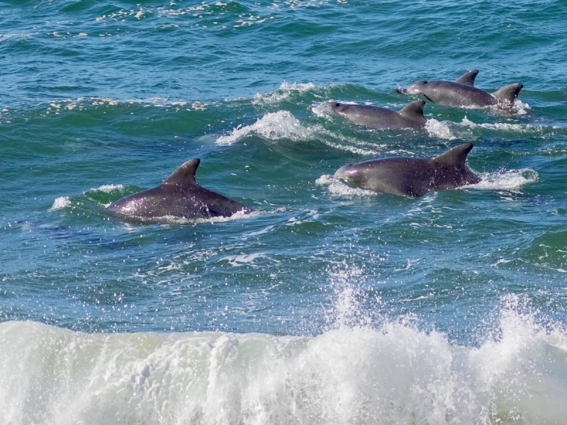 10/37 Surfview Road, Mona Vale NSW 2103