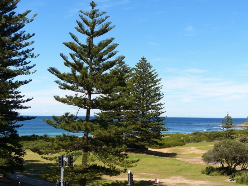 10/391 Barrenjoey Road, Newport NSW 2106