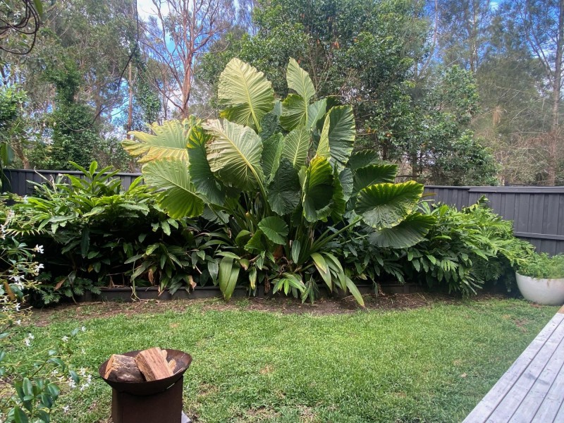 23/239 Macpherson Street, Warriewood NSW 2102