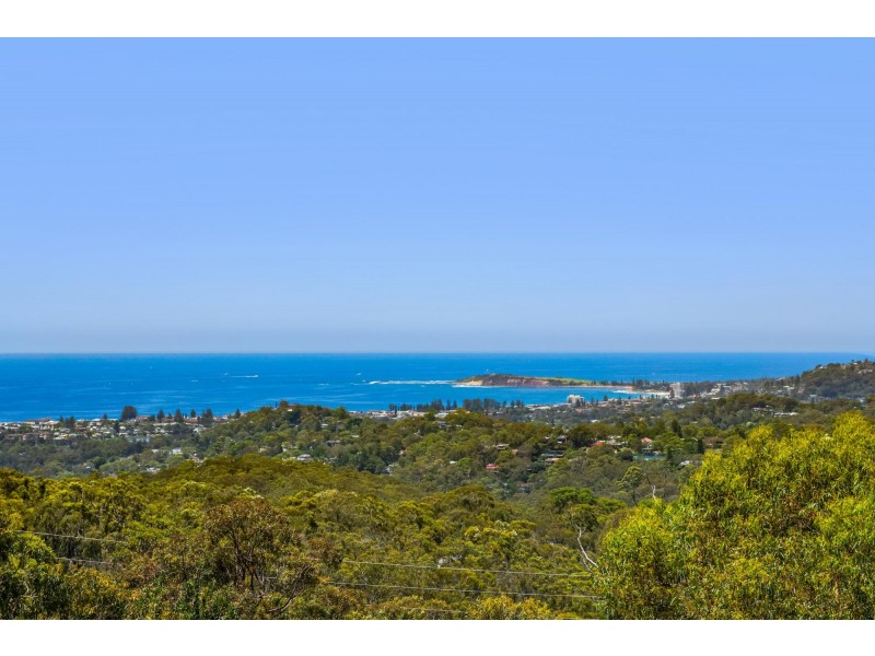 41 Laurel Road West, Ingleside NSW 2101