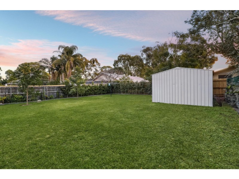 20 Oak Street, North Narrabeen NSW 2101