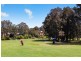 16 Parkland Road, Mona Vale NSW 2103