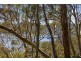 106 Thompson Street, Scotland Island NSW 2105