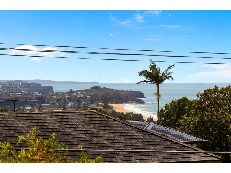 19 Acacia Street, Collaroy Plateau NSW 2097