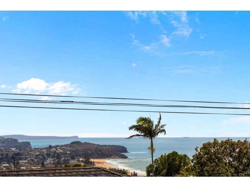 19 Acacia Street, Collaroy Plateau NSW 2097