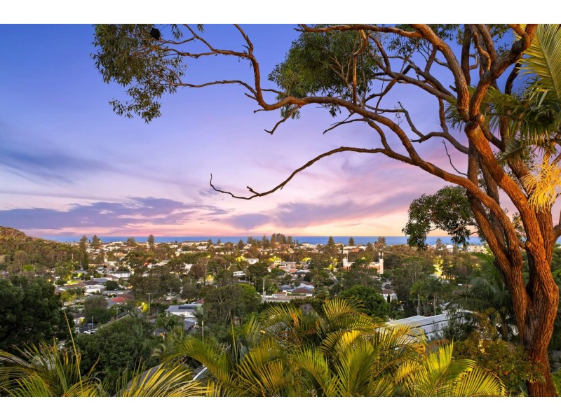 62 Woorarra Avenue, North Narrabeen NSW 2101