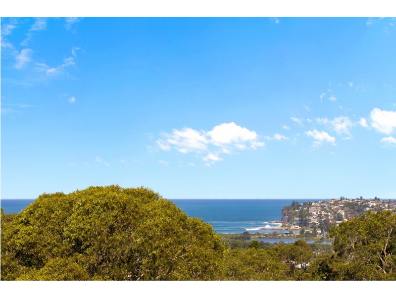 83 Parkes Road, Collaroy Plateau NSW 2097