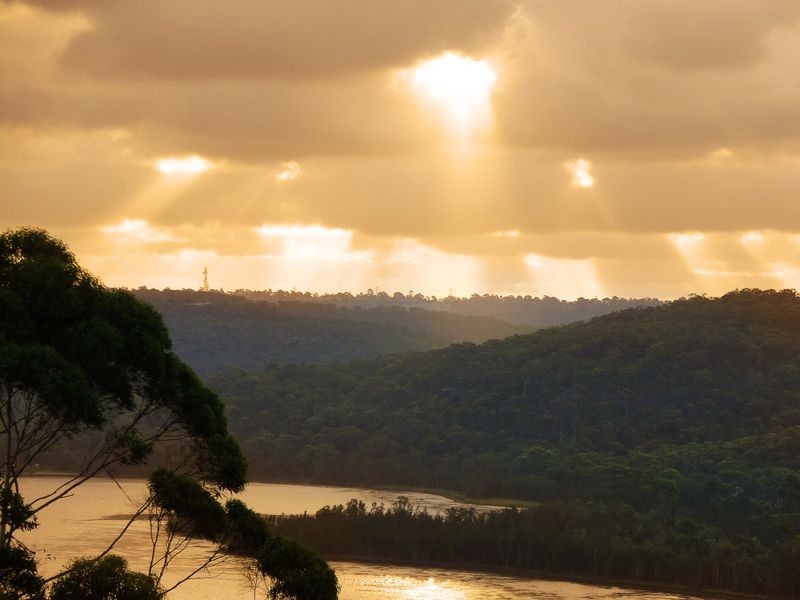 79 Woorarra Avenue, North Narrabeen NSW 2101