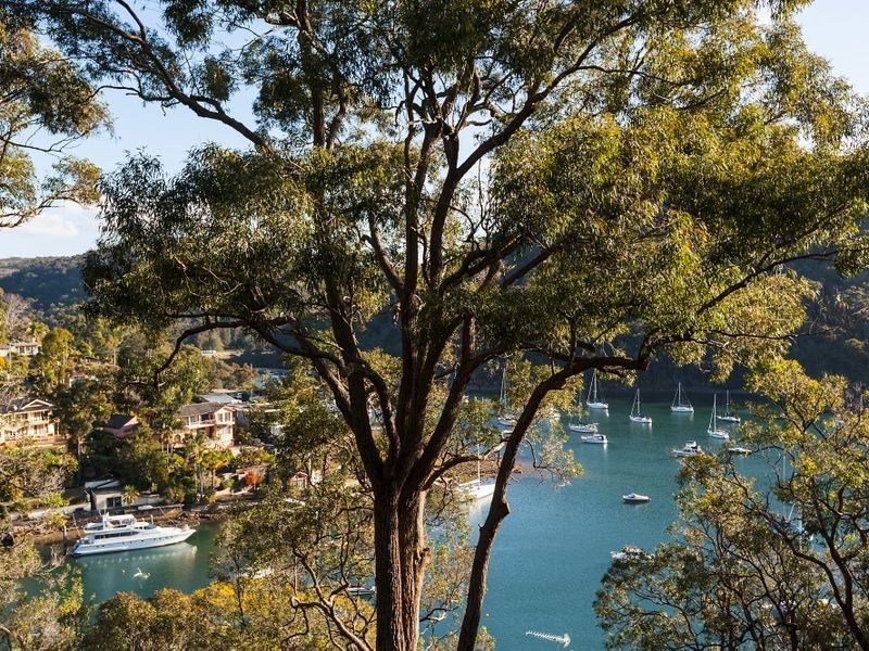 91 McCarrs Creek Road, Church Point NSW 2105