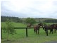 289 Pywells Road, Luskintyre NSW 2321
