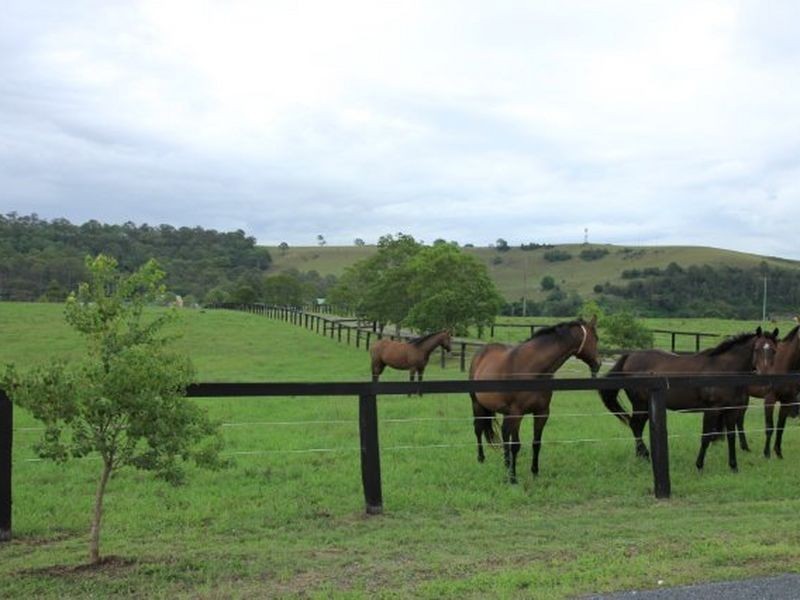 289 Pywells Road, Luskintyre NSW 2321