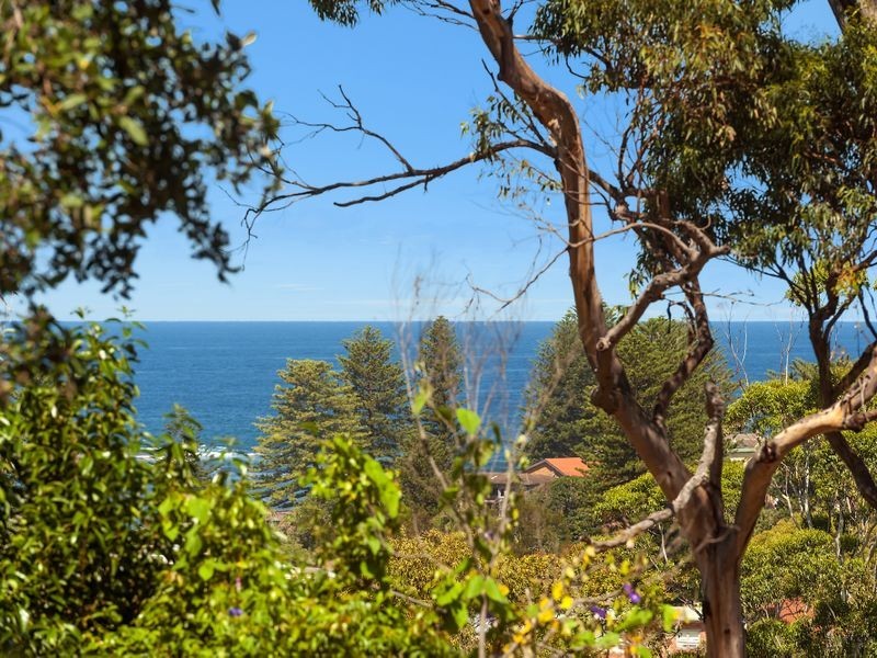 48 Nullaburra Road, Newport NSW 2106