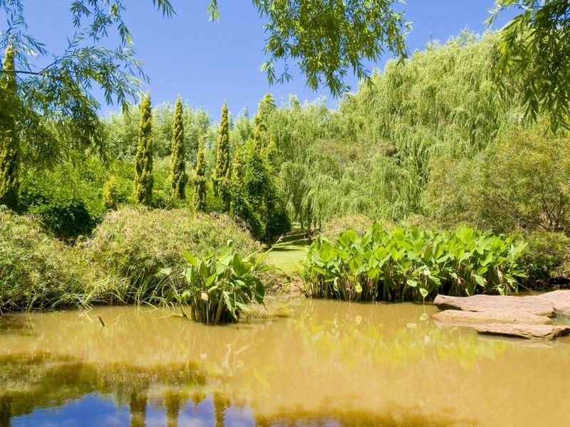 13 Chiltern Road, Ingleside NSW 2101