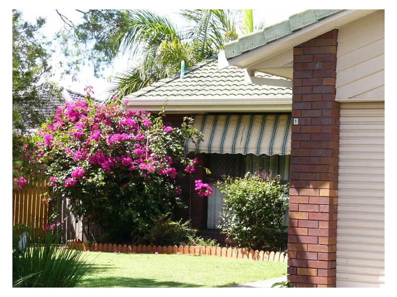 16 Brady Drive, Coombabah QLD 4216