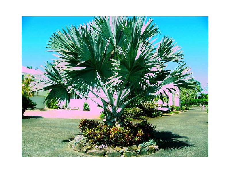 19/3 Lee Road, Runaway Bay QLD 4216