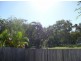 11/442 Pine Ridge Road, Coombabah QLD 4216