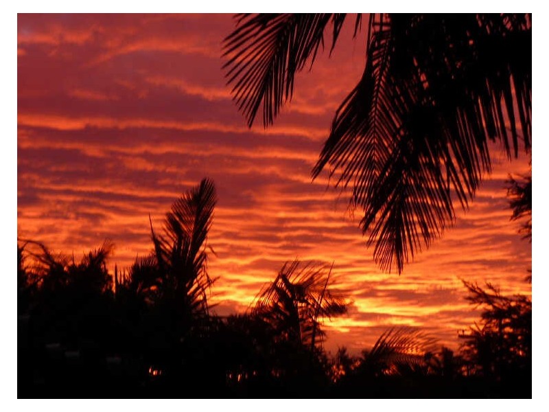 36 Clam Street, Runaway Bay QLD 4216