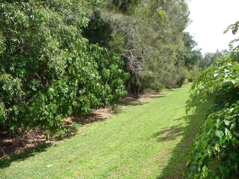 43 Numbat Court West, Coombabah QLD 4216