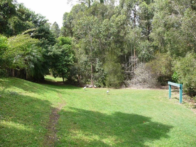 43 Numbat Court West, Coombabah QLD 4216