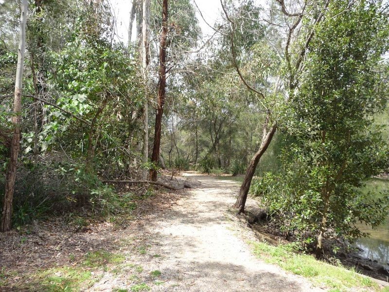 43 Numbat Court West, Coombabah QLD 4216