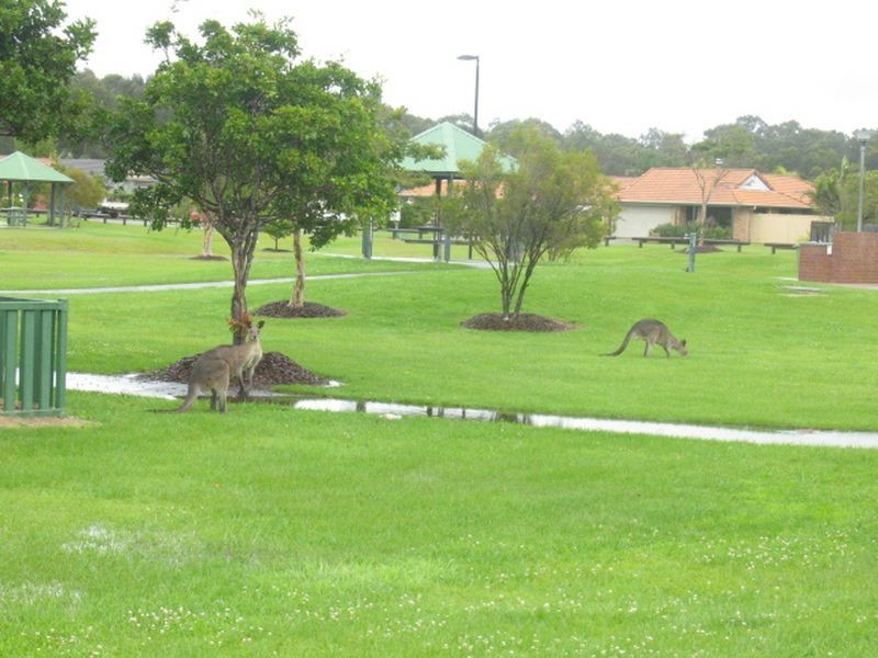 1 Raphael Street, Coombabah QLD 4216