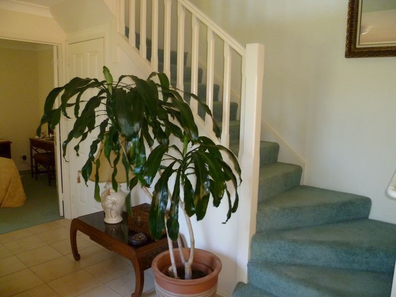 Runaway Bay QLD 4216