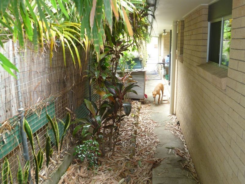 45 Ashbourne Terrace, Biggera Waters QLD 4216