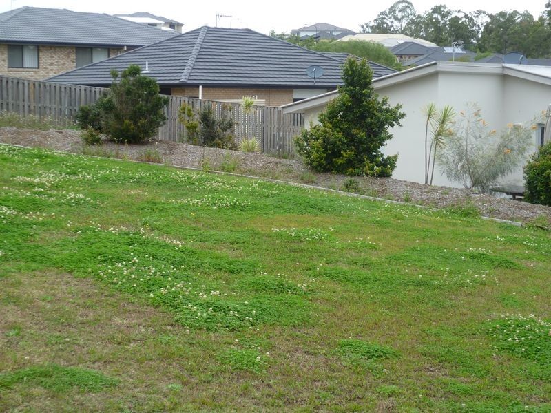 59 Harmsworth Road, Pacific Pines QLD 4211