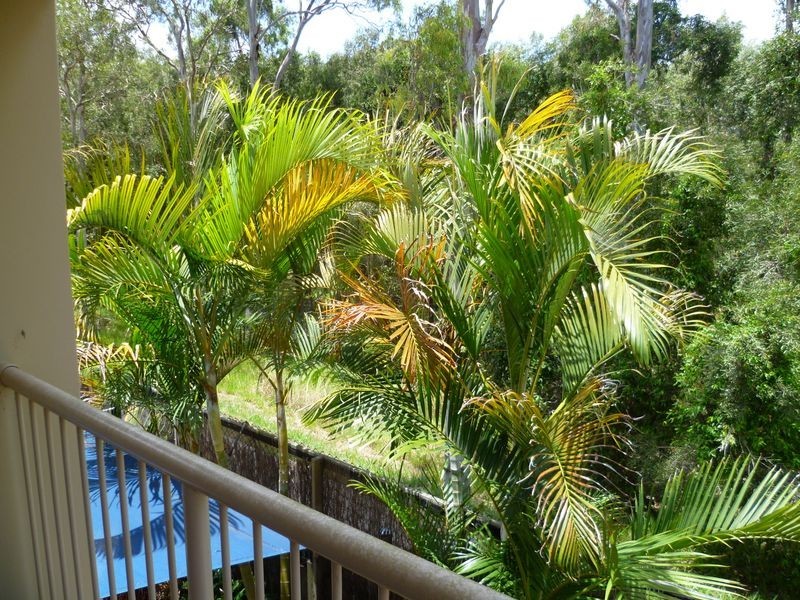 40/95 Arundel Drive, Arundel QLD 4214