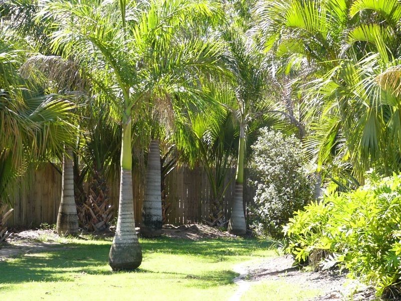 Biggera Waters QLD 4216