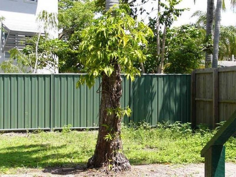 6 Cawthray Street, Biggera Waters QLD 4216