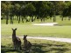 61 Chichester Drive, Arundel QLD 4214