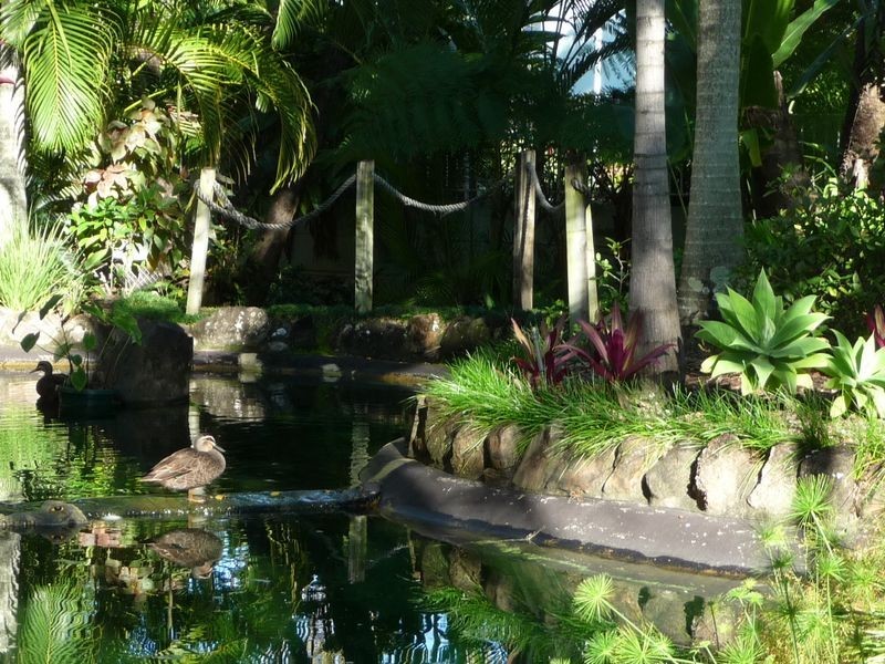 7/41a Broadwater Street, Runaway Bay QLD 4216