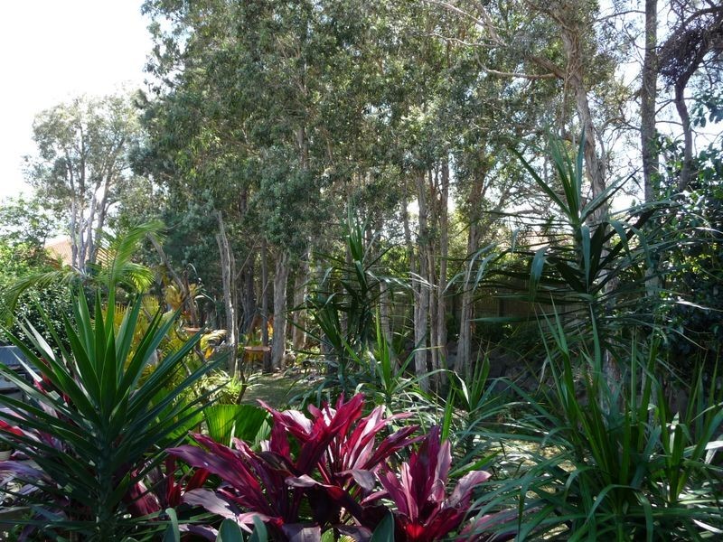 25/15 Monet Street, Coombabah QLD 4216