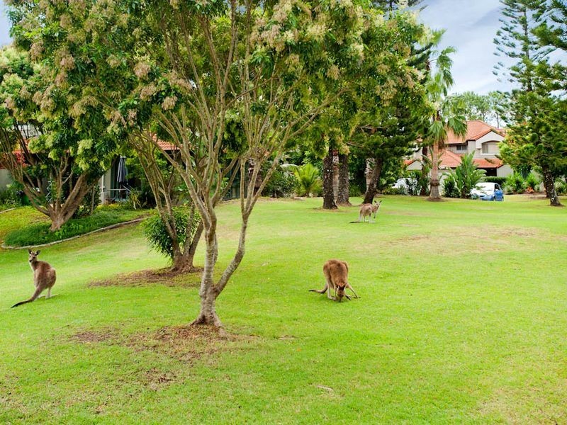 123/19 SANTA BARBARA ROAD, Hope Island QLD 4212