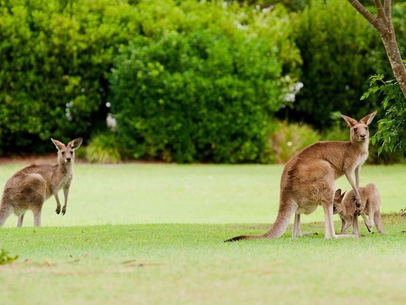 121/19 SANTA BARBARA ROAD, Hope Island QLD 4212