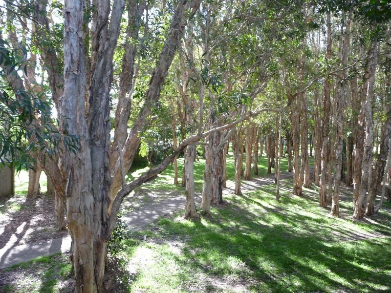 86/125 HANSFORD ROAD, Coombabah QLD 4216