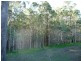 119/590 Pine Ridge Road, Coombabah QLD 4216