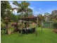 19 Cudgee Street, Redbank Plains QLD 4301