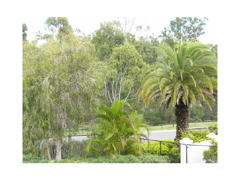 10/43 Myola Court, Coombabah QLD 4216