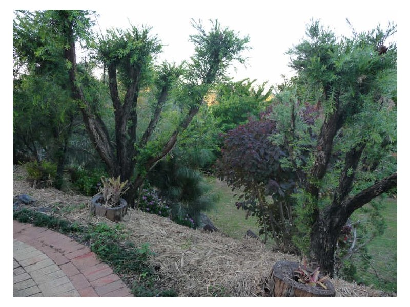 37 Oregan Way, Oxenford QLD 4210