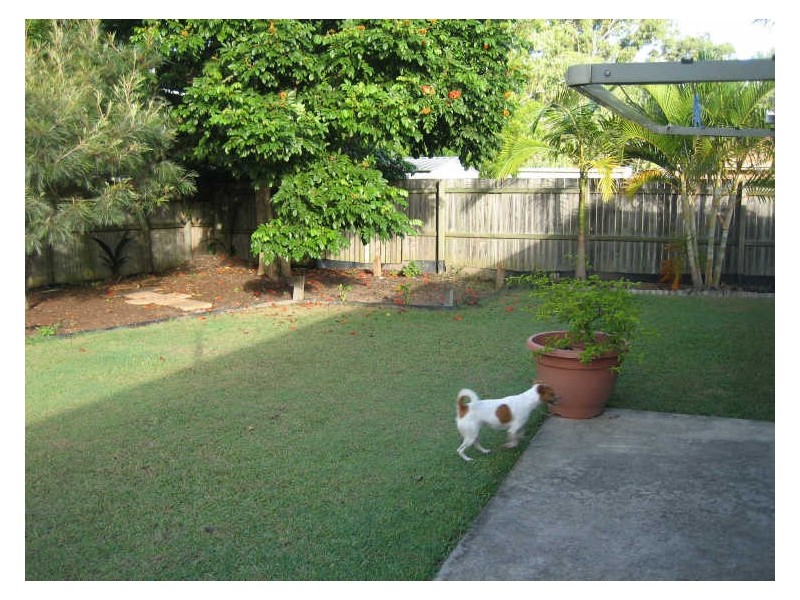 31 Sherman Drive, Upper Coomera QLD 4209