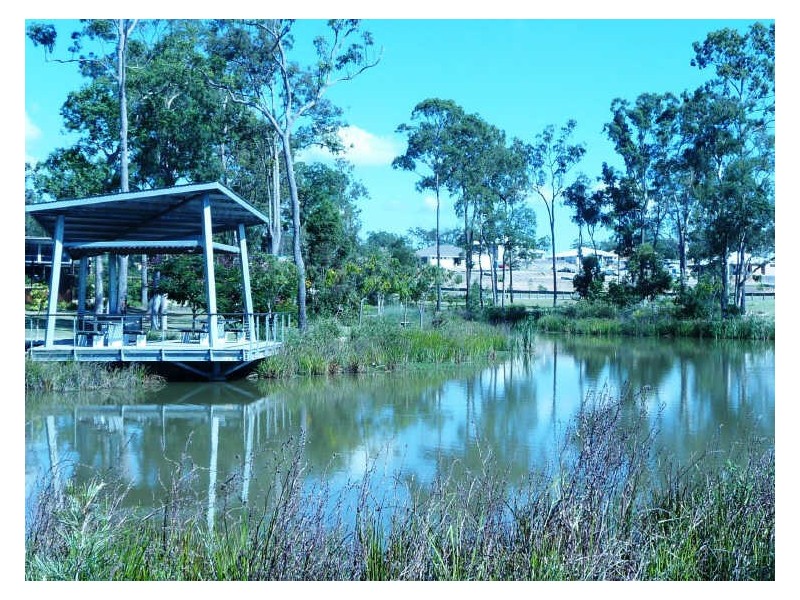 4 Mcdowall Court, Coomera QLD 4209
